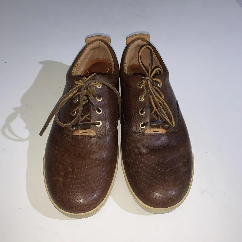 Ecco shoes mens